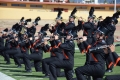 Aztec High School Tiger Marching Band, 2017 NM Pageant of Bands
