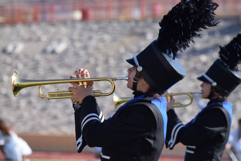 West Mesa High School Mustang Marching Band, 2017 NM Pageant of Bands